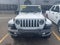 2019 Jeep Wrangler Unlimited Sahara 4x4