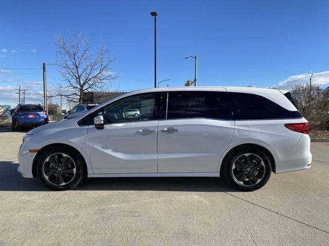 2024 Honda Odyssey Elite